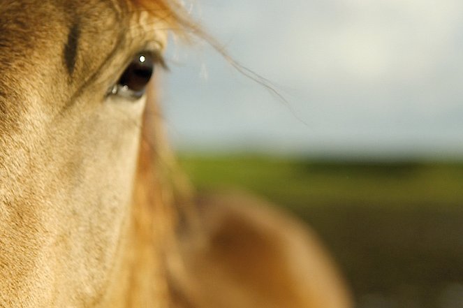 De chicas y caballos - De la película