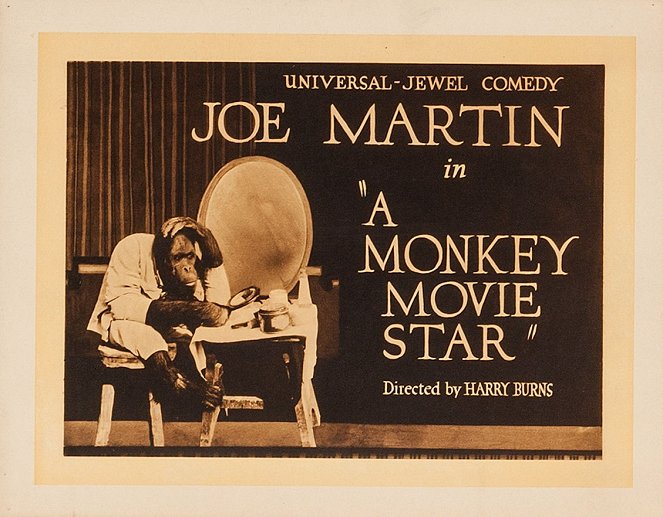 A Monkey Movie Star - Lobbykaarten