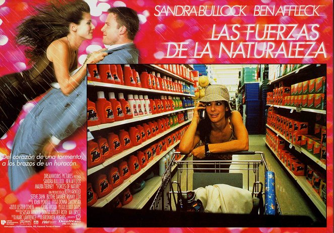 Forces of Nature - Lobbykaarten - Sandra Bullock