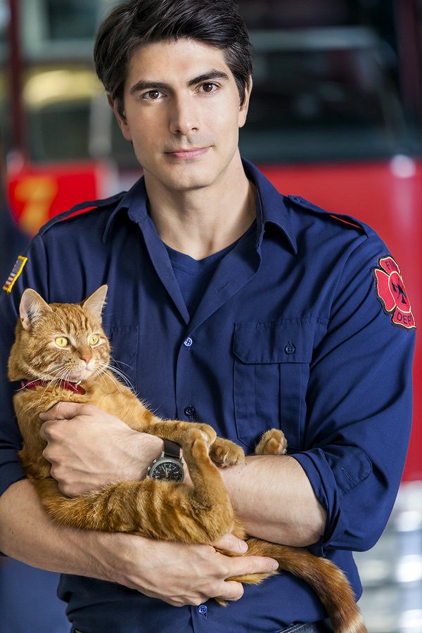 The Nine Lives of Christmas - De la película - Brandon Routh