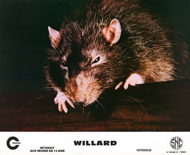 Willard - Cartões lobby