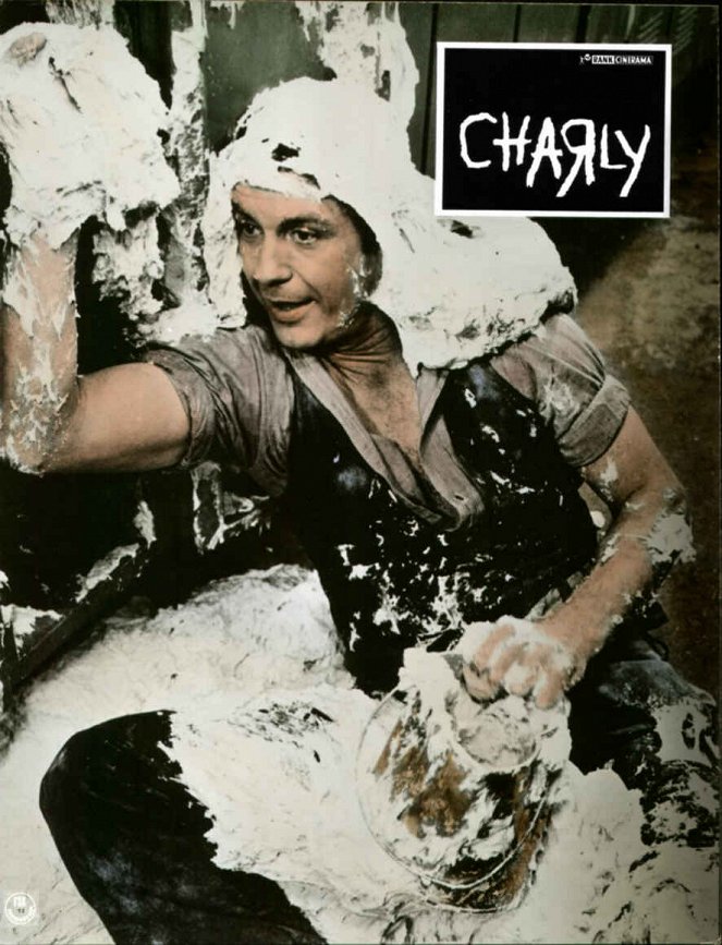 Charly - Virágot Algernonnak - Vitrinfotók