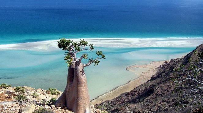 Socotra: The Hidden Land - De la película