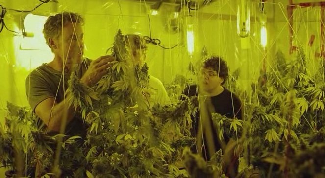 Kid Cannabis - Film