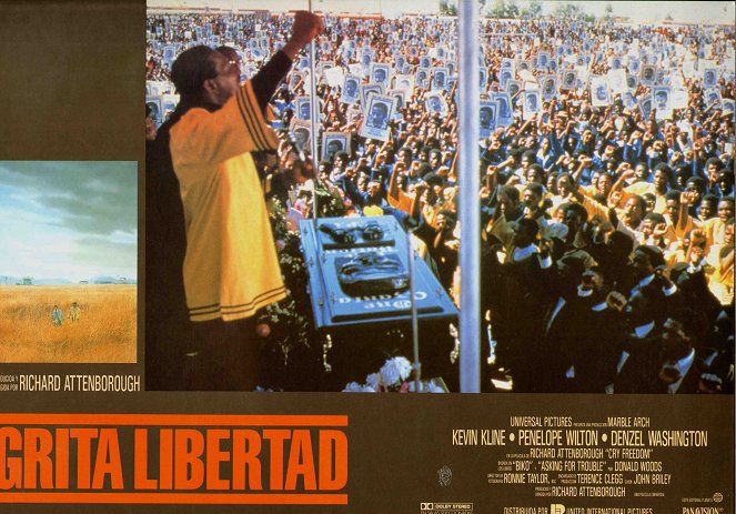 Cry Freedom - Le cri de la liberté - Cartes de lobby