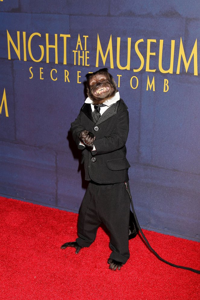 Night at the Museum: Secret of the Tomb - Events - Crystal the Monkey