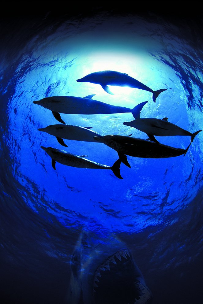 OceanWorld 3D - Werbefoto