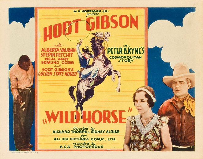 Wild Horse - Lobbykaarten