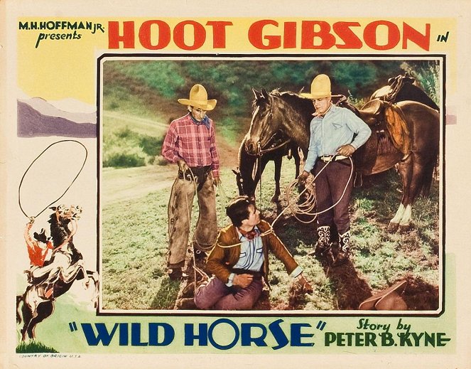 Wild Horse - Lobbykaarten