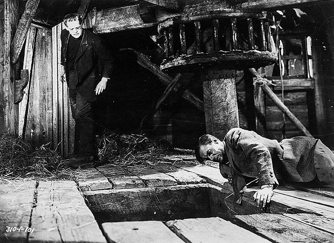 El doctor Frankenstein - De la película - Boris Karloff, Colin Clive