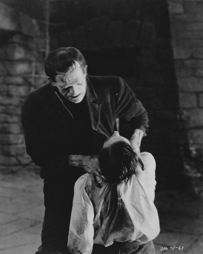 El doctor Frankenstein - De la película