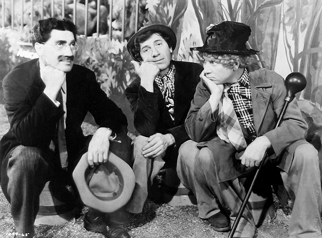 Botrány a cirkuszban - Filmfotók - Groucho Marx, Chico Marx, Harpo Marx