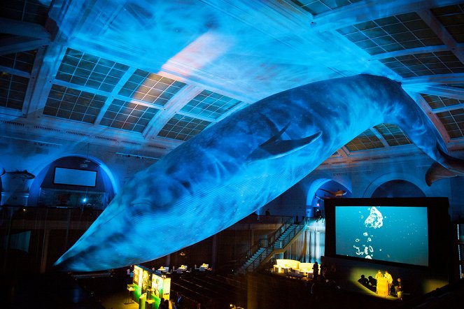 James Cameron's Deepsea Challenge 3D - Do filme