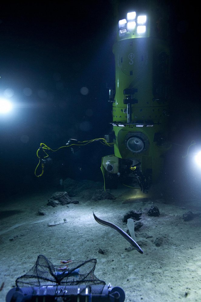 James Cameron's Deepsea Challenge 3D - Z filmu