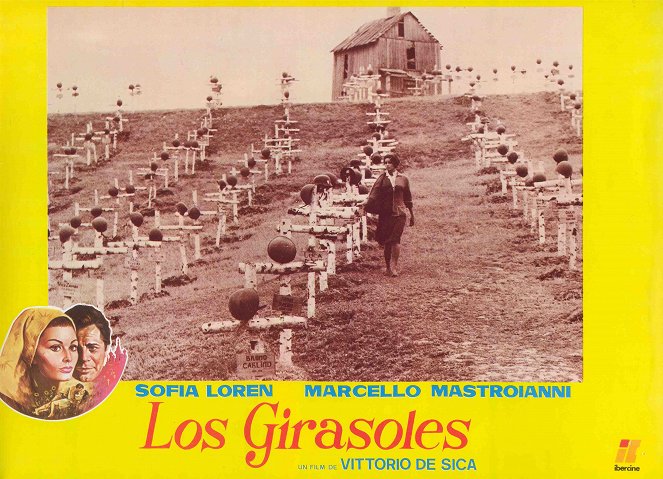 Los girasoles - Fotocromos - Sophia Loren