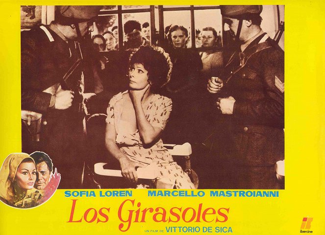 Los girasoles - Fotocromos - Sophia Loren