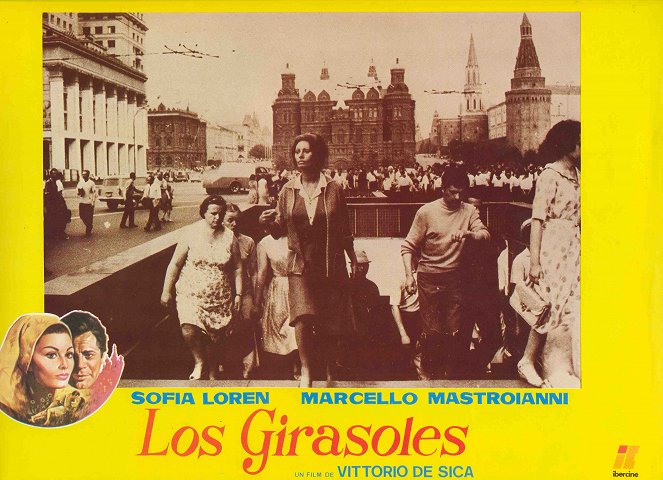 Los girasoles - Fotocromos - Sophia Loren