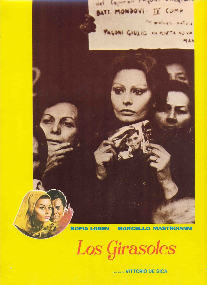 Słoneczniki - Lobby karty - Sophia Loren