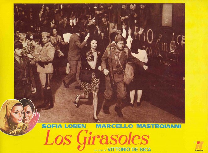 Los girasoles - Fotocromos - Sophia Loren, Marcello Mastroianni