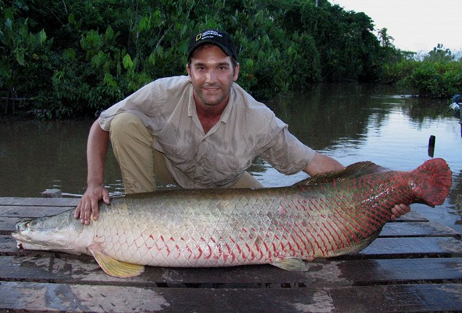 Obří ryby Amazonky - Z filmu