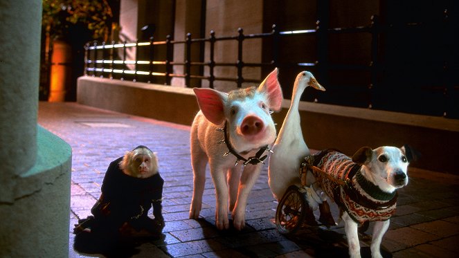 Babe: Pig in the City - Film