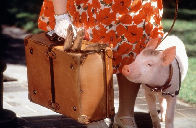 Schweinchen Babe in der großen Stadt - Filmfotos