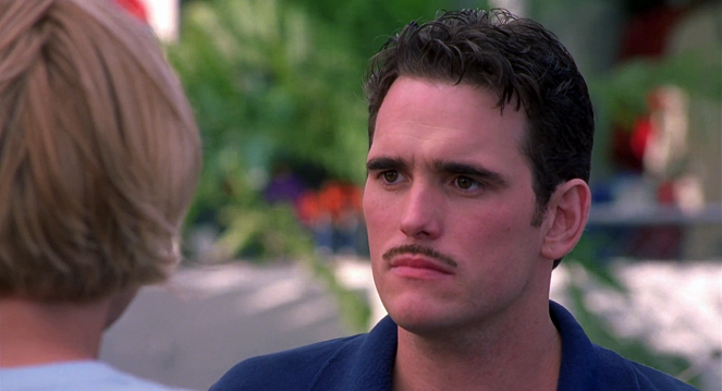There's Something About Mary - Van film - Matt Dillon