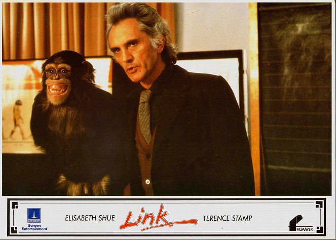 Link, a majom - Vitrinfotók - Terence Stamp