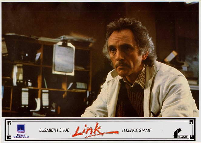 Link - Lobby Cards - Terence Stamp