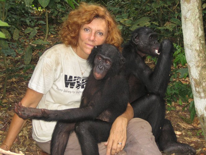 La Maman des Bonobos - Z filmu