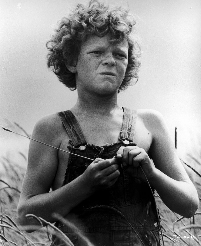 Las aventuras de Tom Sawyer - De la película - Johnny Whitaker