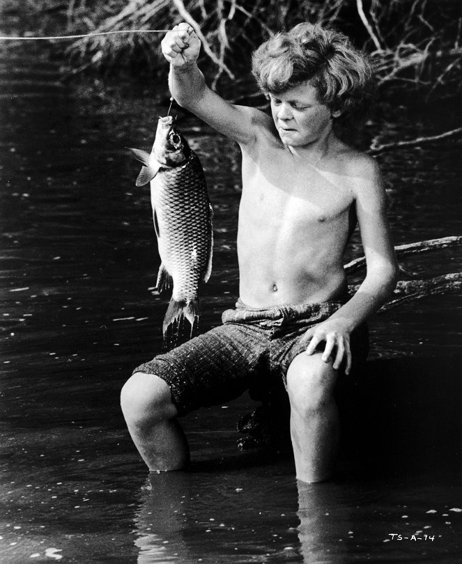 Tom Sawyer - Z filmu - Johnny Whitaker