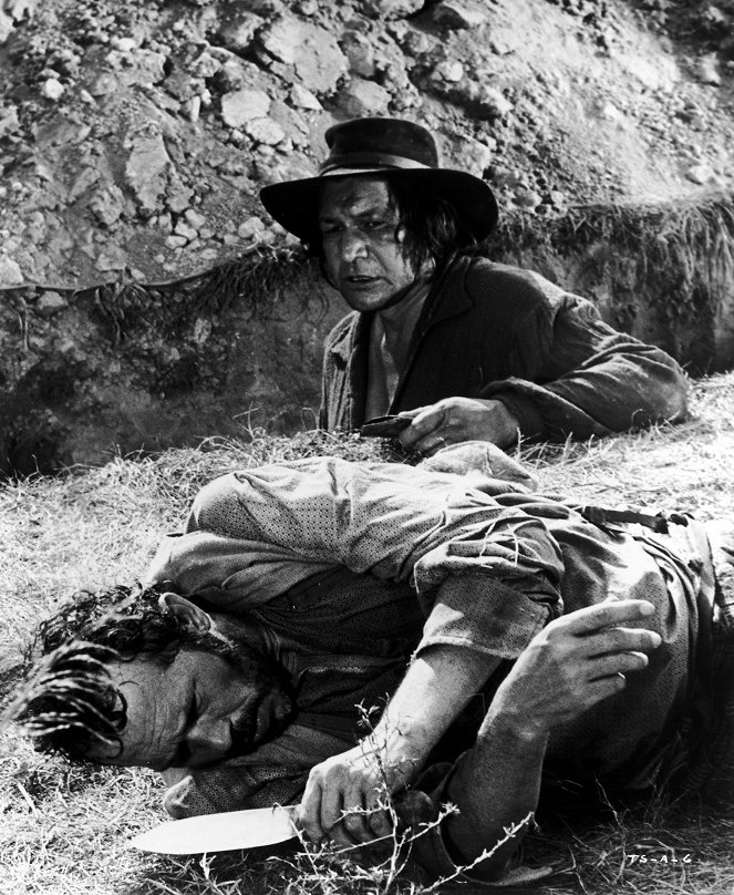 Tom Sawyers Abenteuer - Filmfotos - Warren Oates