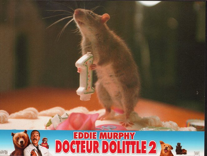 Dr. Dolittle 2 - Lobbykarten