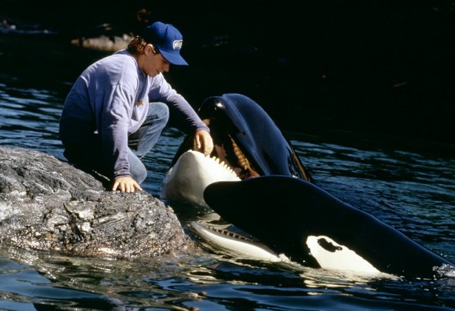 Szabadítsátok ki Willyt! 2. - Filmfotók - Jason James Richter, Keiko a kardszárnyú delfin