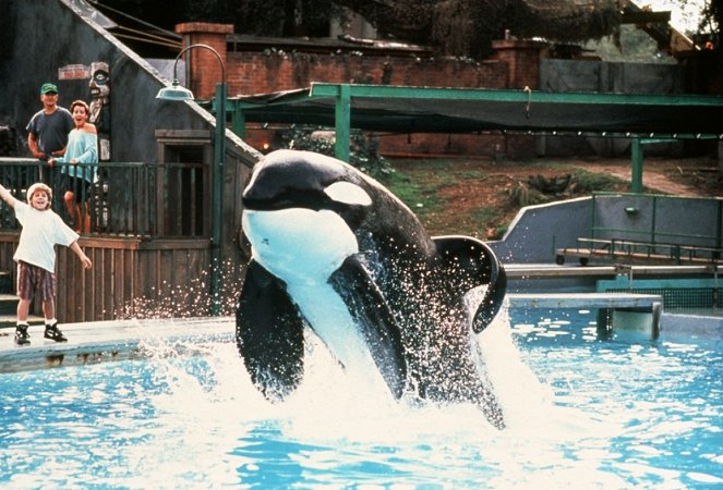 Szabadítsátok ki Willyt! - Filmfotók - Jason James Richter, Keiko a kardszárnyú delfin