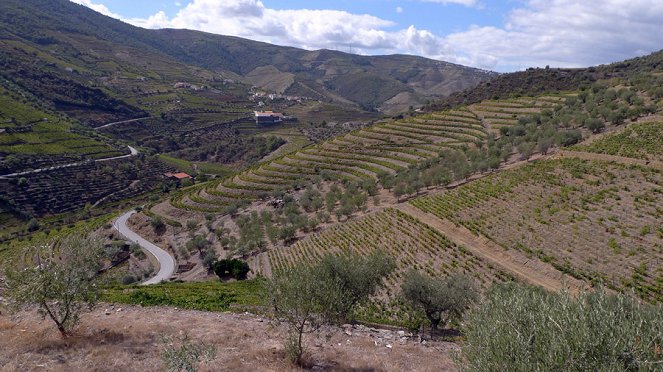 Na cestě - Na cestě po údolí řeky Douro - Photos