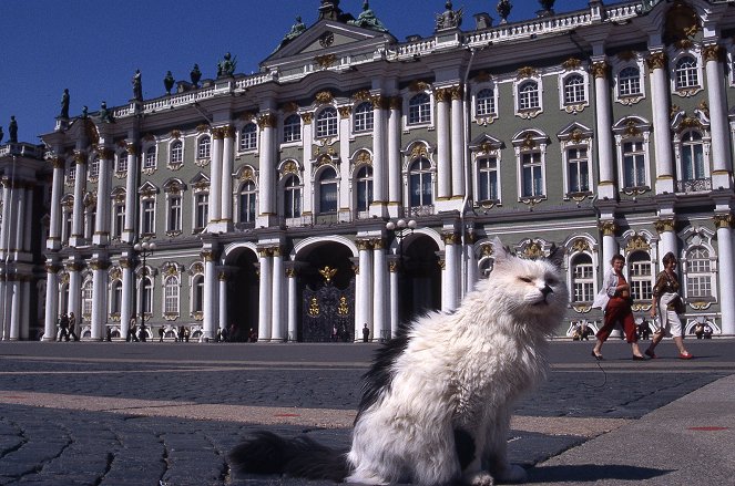 Ermitáž - kočičí palác - Z filmu