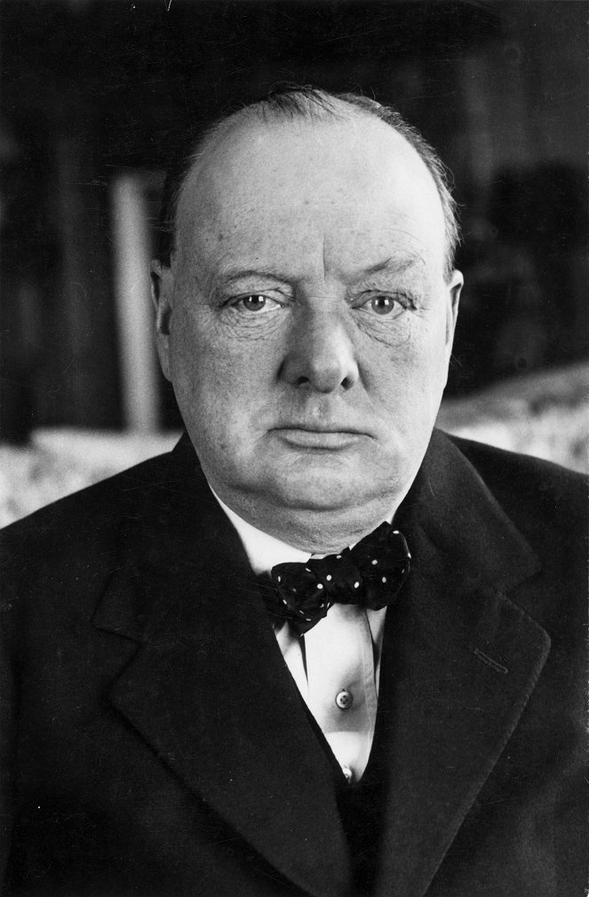 Winston Churchill, un géant dans le siècle - Van film - Winston Churchill