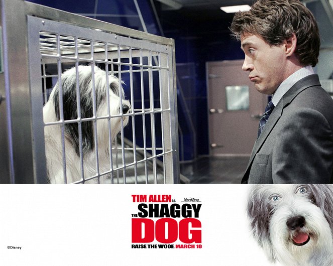 The Shaggy Dog - Lobbykaarten