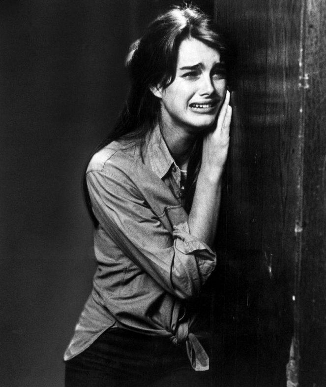 Endlose Liebe - Filmfotos - Brooke Shields