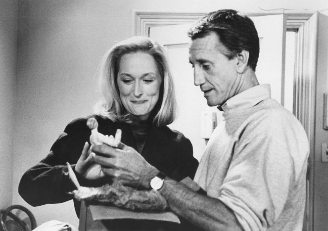 In der Stille der Nacht - Filmfotos - Meryl Streep, Roy Scheider