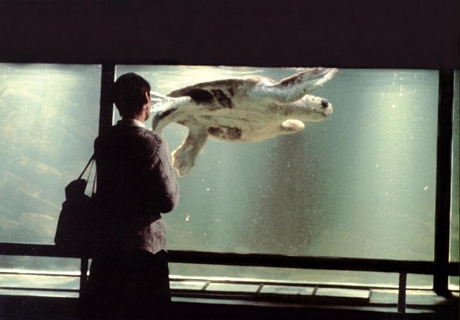 Turtle Diary - De la película
