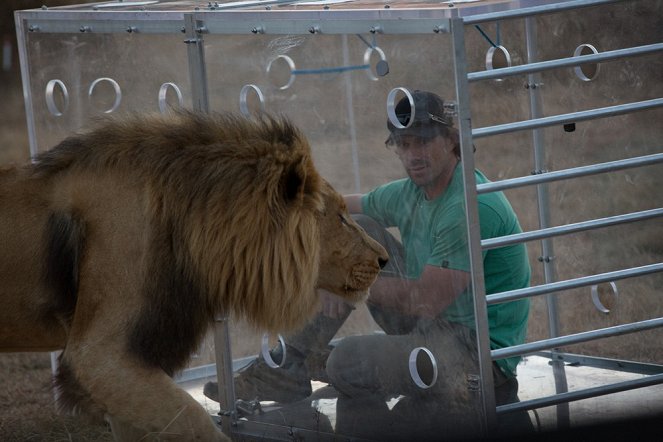 Big Cat Week: Man V. Lion - De la película
