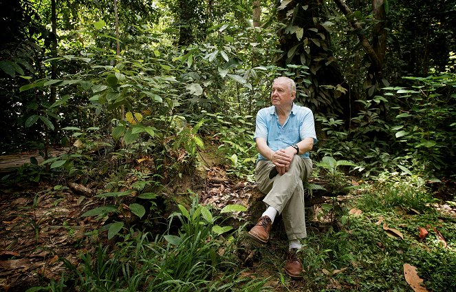 David Attenborough - Mein Leben in der Wildnis - Filmfotos - David Attenborough