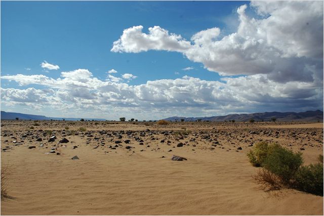 Allein die Wüste - Filmfotók