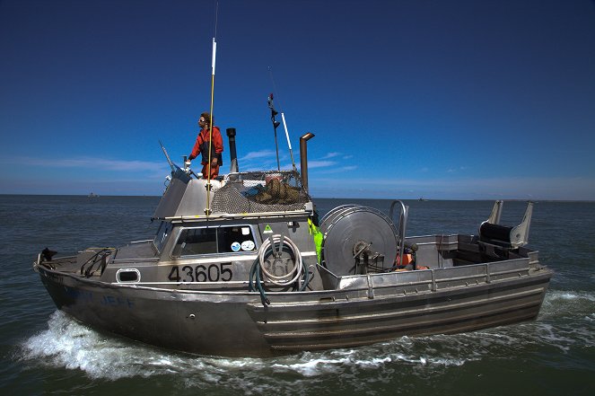 Alaska: Battle on the Bay - Kuvat elokuvasta