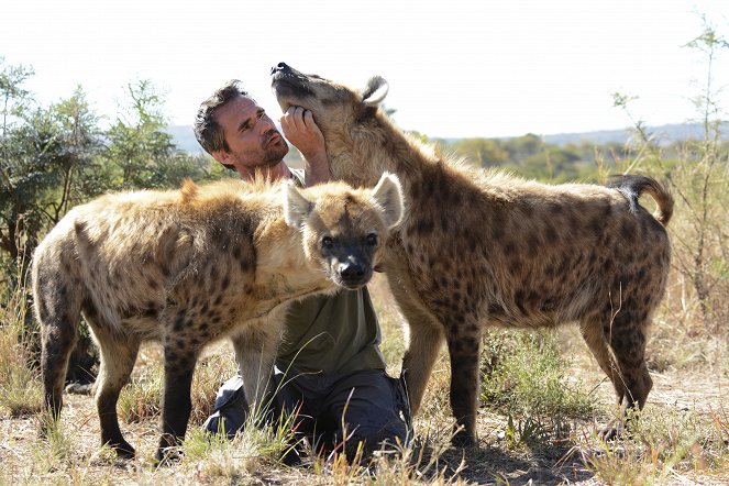 Zabijácké IQ: lev versus hyena - Z filmu - Kevin Richardson