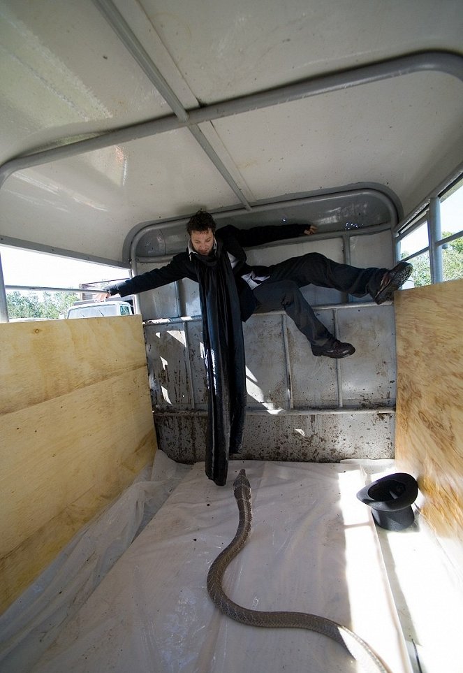 Jackass deux - Le film - Film - Bam Margera