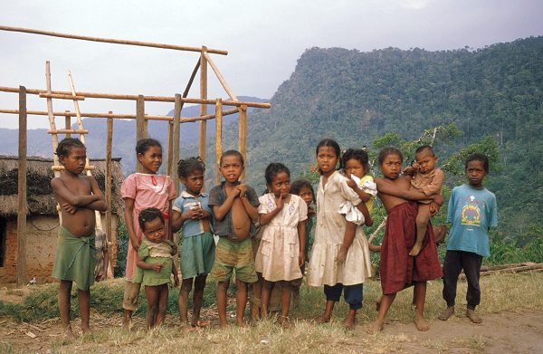 Na cestě - Na cestě po Madagaskaru - De la película